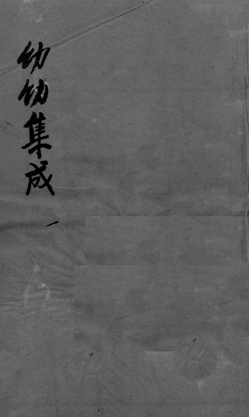幼科集成  1